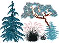 Illustration of native trees in Washington